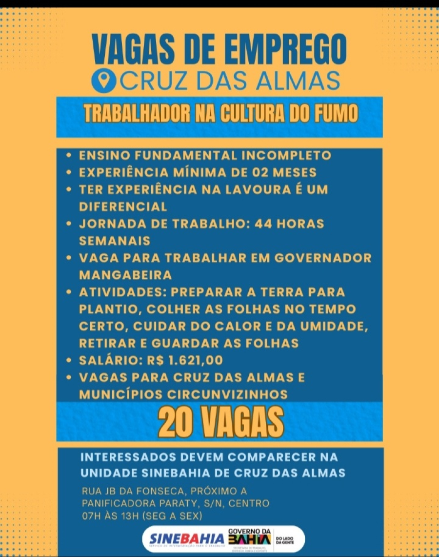 Sine Bahia oferta diversas vagas de emprego em Cruz das Almas. 